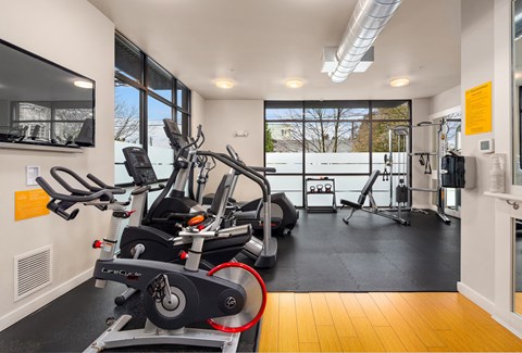 the gym with treadmills and ellipticals at the belgard apartments