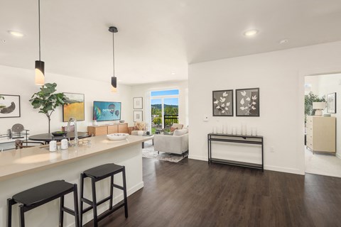 a living room with a kitchen and a dining room