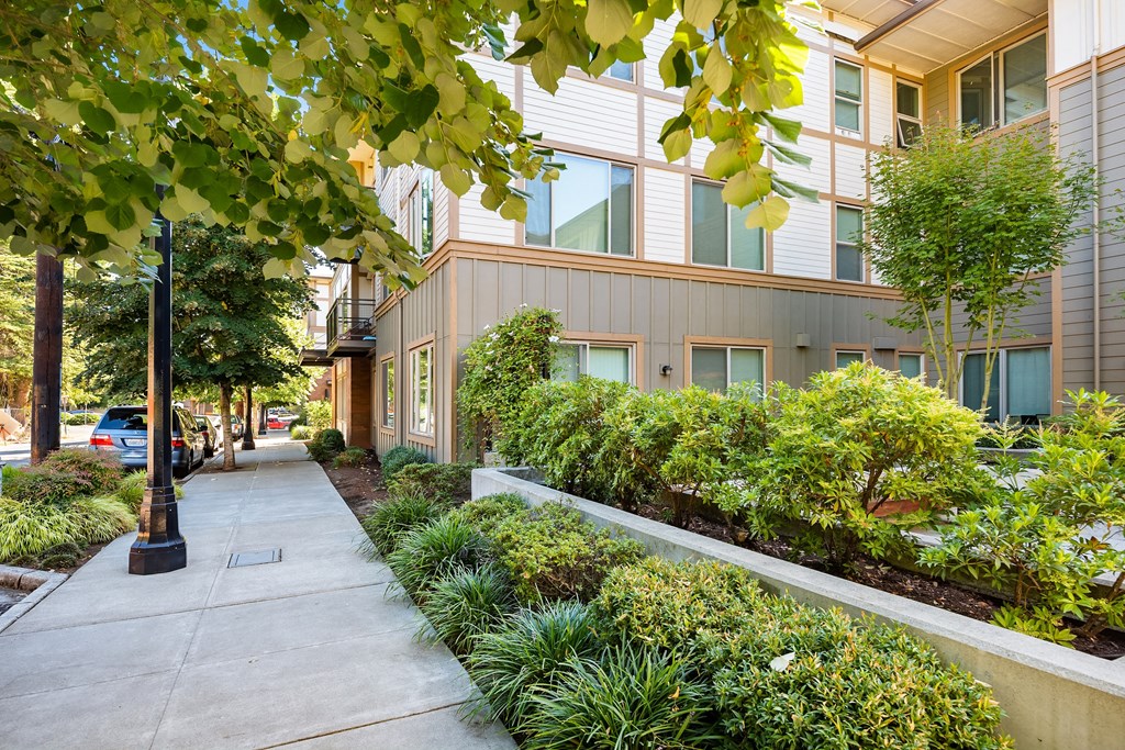 a street view of an apartment building with a sidewalk and landscaping