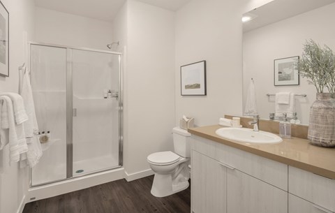 a white bathroom with a shower toilet and sink