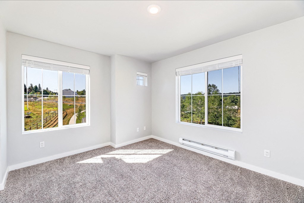 a bedroom with two windows and a carpeted floor