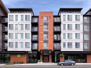18151 68th Ave NE 1-3 Beds Apartment for Rent - Photo Gallery 6