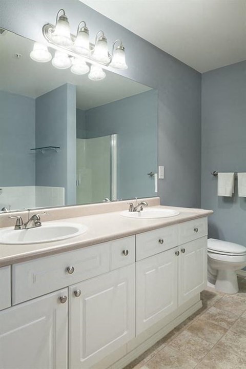 a bathroom with two sinks and a toilet and a mirror