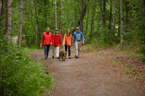 Four people walking a dog on a dirt road in the woods.