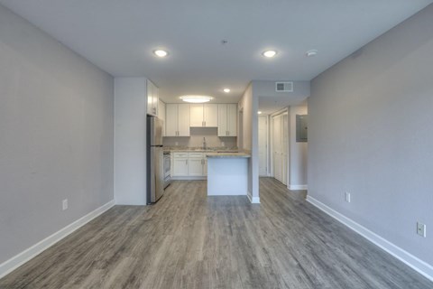 A kitchen area with a countertop and cabinets is visible.