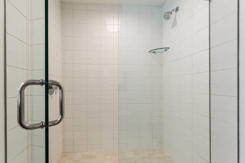 Walk-In Shower