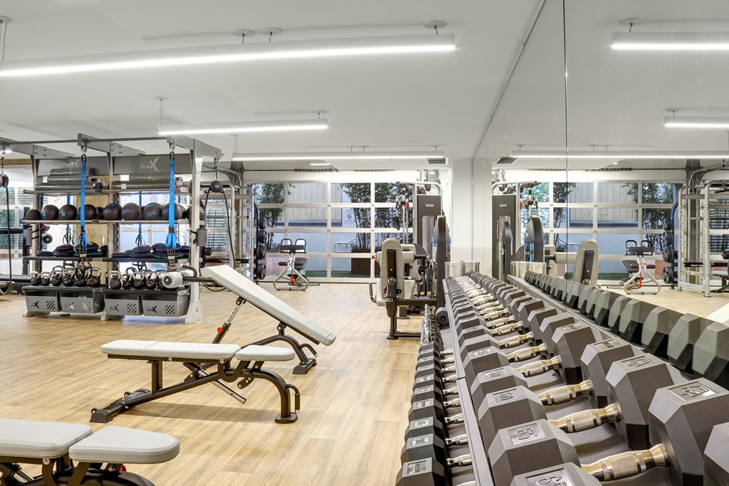 a fully equipped gym with cardio equipment and weights