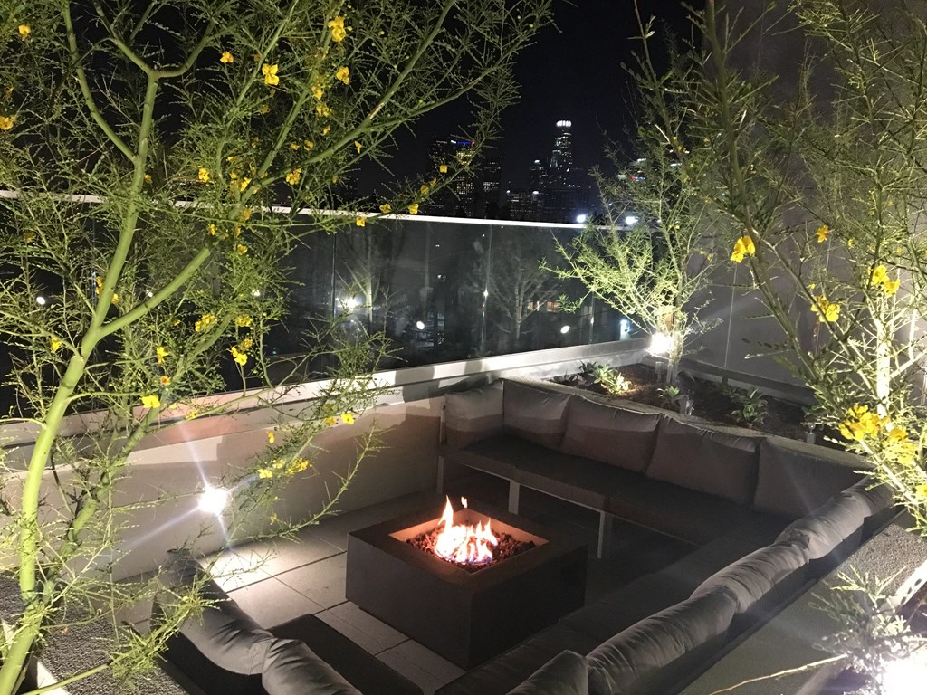Rooftop Fire Pit