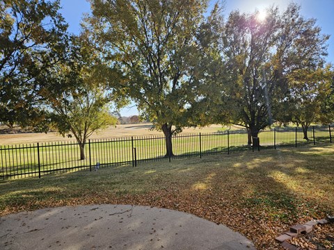 A sunny day in a park with trees and a fence.
