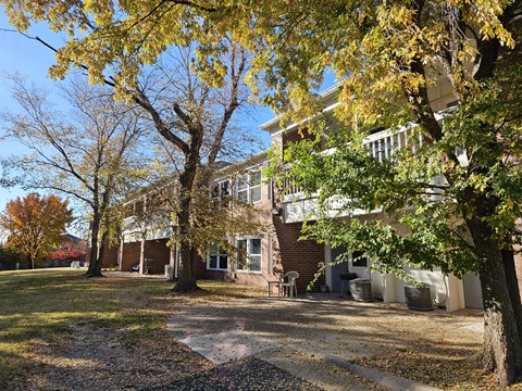 A tree with yellow leaves in front of a building.
