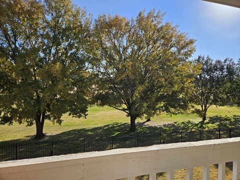 A view of a tree-lined field from a balcony.