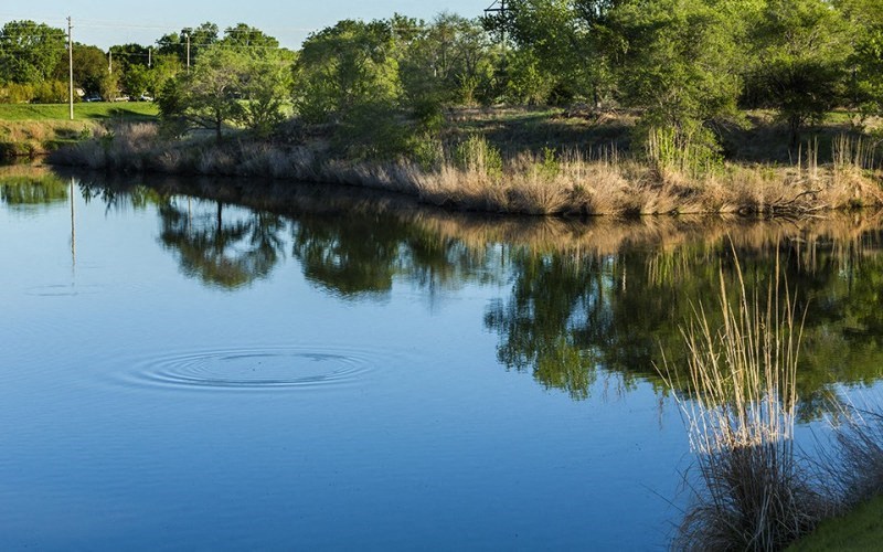 a body of water with a ripple in it