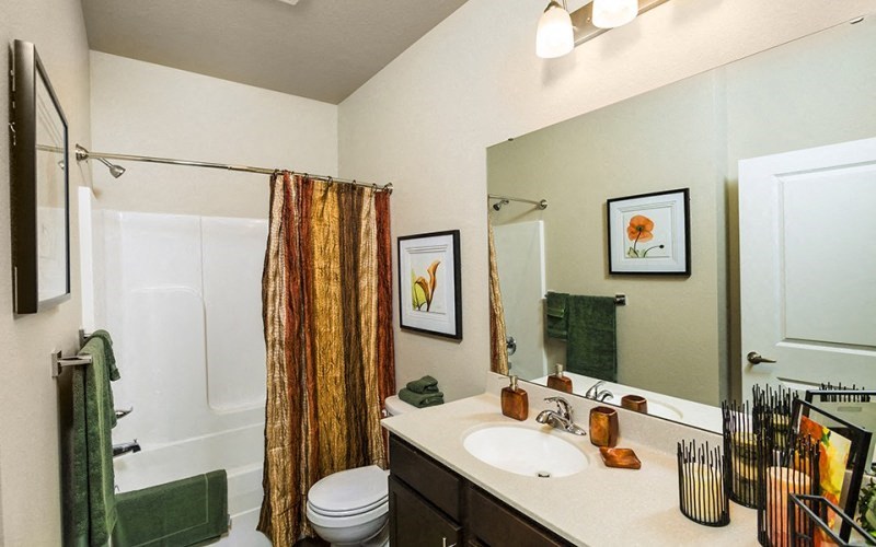 a bathroom with a shower and a sink and a mirror