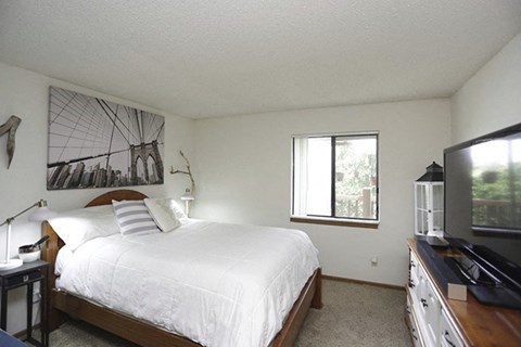 a bedroom with a bed and a tv and a window