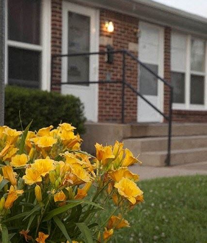 a bunch of yellow flowers in front of a house