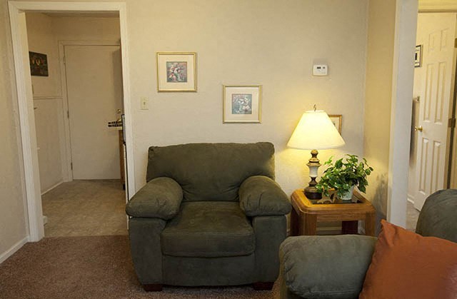 a living room with a couch and a chair