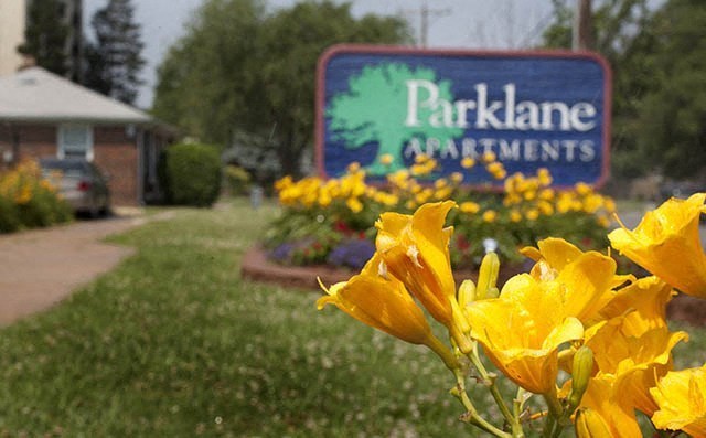 a garden of yellow flowers in front of a apartments sign