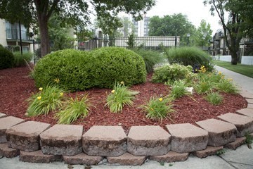 a flower bed with bricks and plants in the middle of a sidewalk