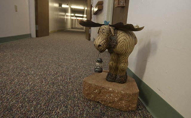 a statue of a bull on a pedestal in a hallway