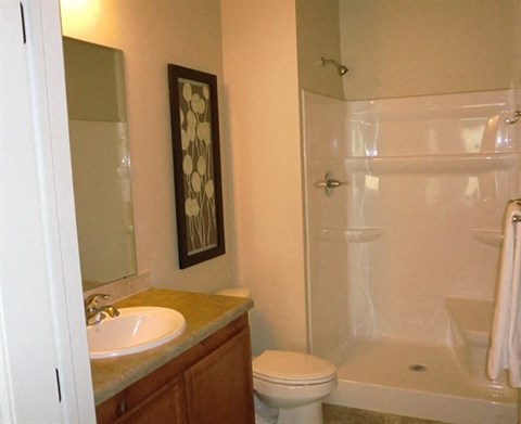 a bathroom with a sink toilet and a shower