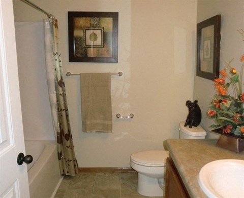 a bathroom with a black cat sitting on the toilet