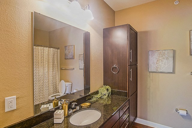 a bathroom with a sink and a mirror and a shower