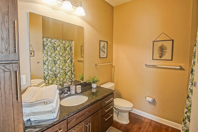 a bathroom with a sink and a toilet and a mirror