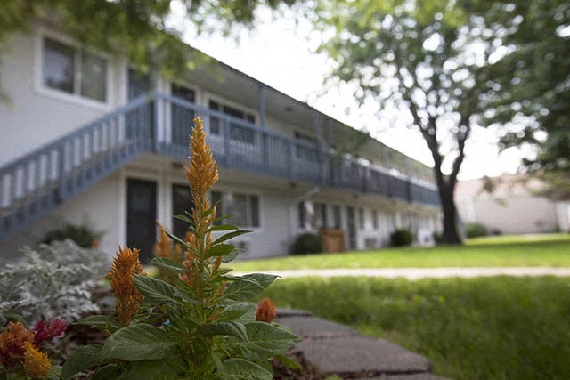 a flowering plant in front of a building