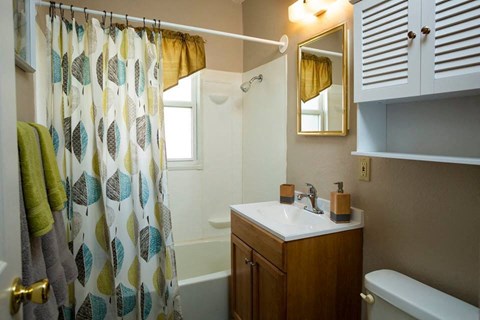 a bathroom with a shower curtain and a sink