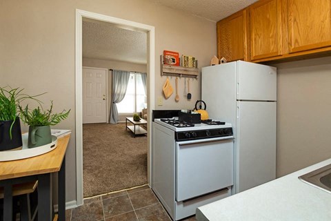 a kitchen with a stove and a refrigerator