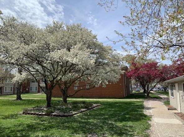 a yard with flowering trees in front of a brick building