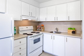 1725 Frobisher Lane Studio-3 Beds Apartment for Rent - Photo Gallery 6
