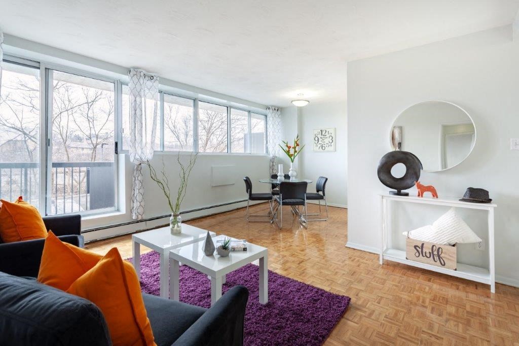 a living room with a purple rug and a couch