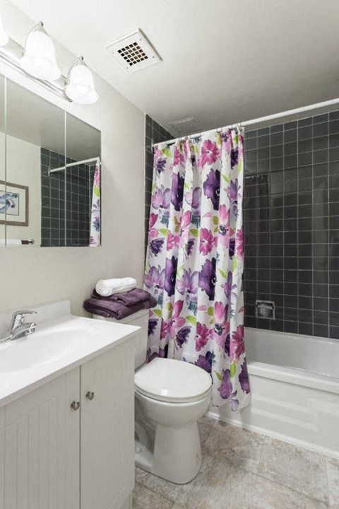 a bathroom with a shower curtain and a toilet and a sink