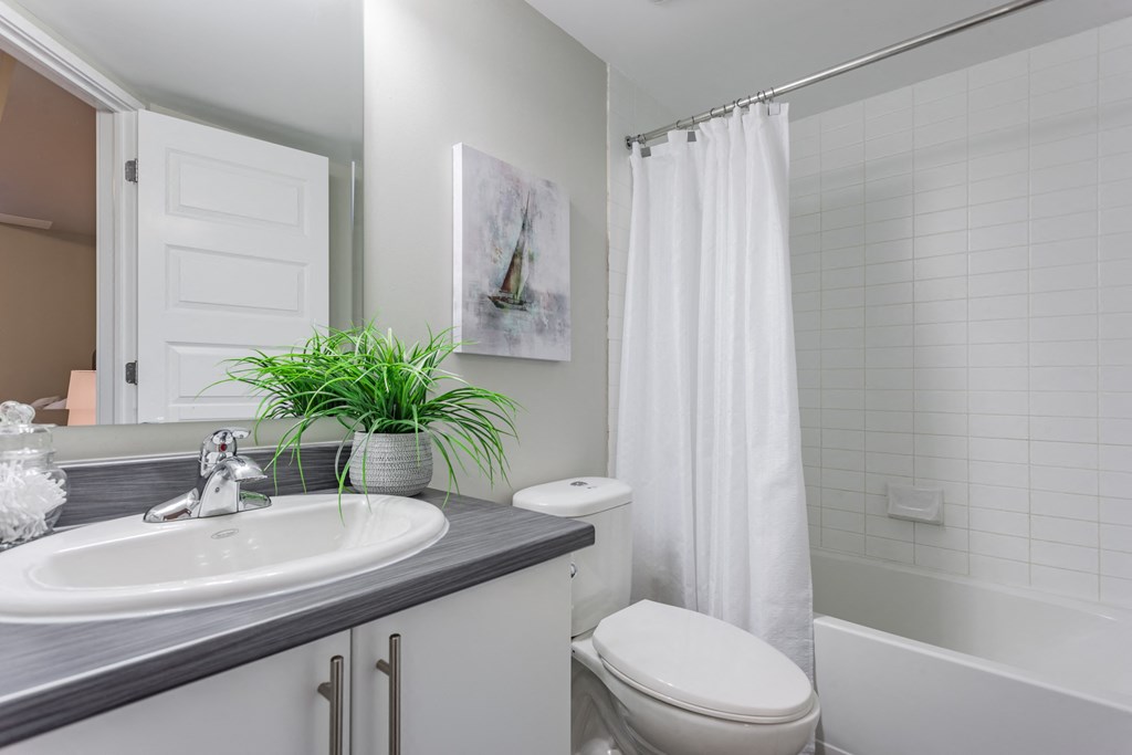 a bathroom with a sink and a toilet and a shower
