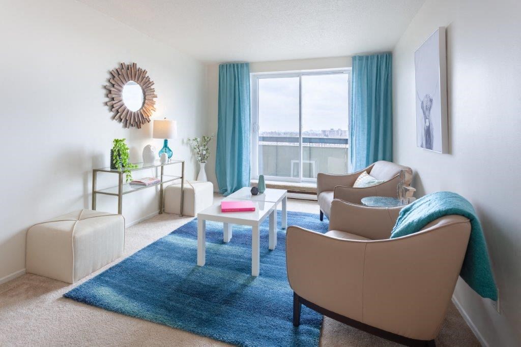 a living room with a blue rug and white furniture