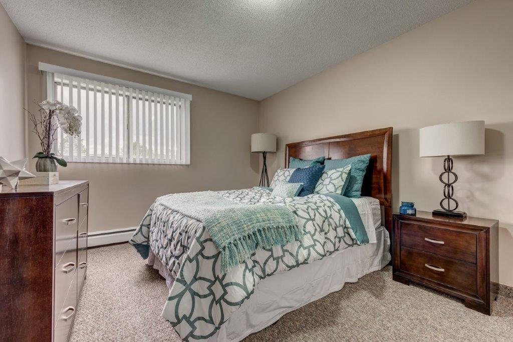 3 bedroom apartment - Mountainview Apartments, Calgary - unit D141 3