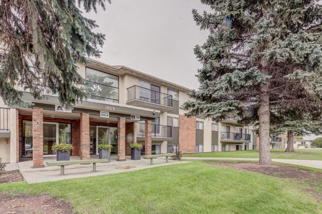 our apartments offer a spacious courtyard with benches and trees