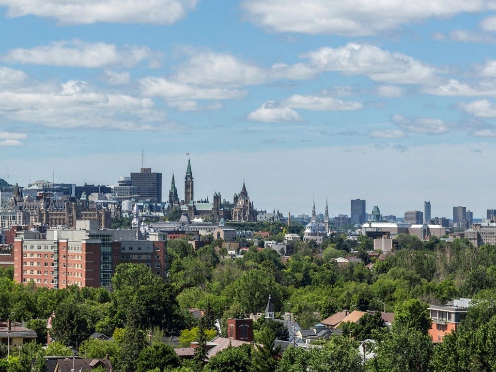 a view of the city from above the trees