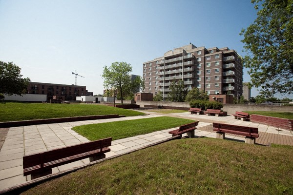 a group of benches in a park