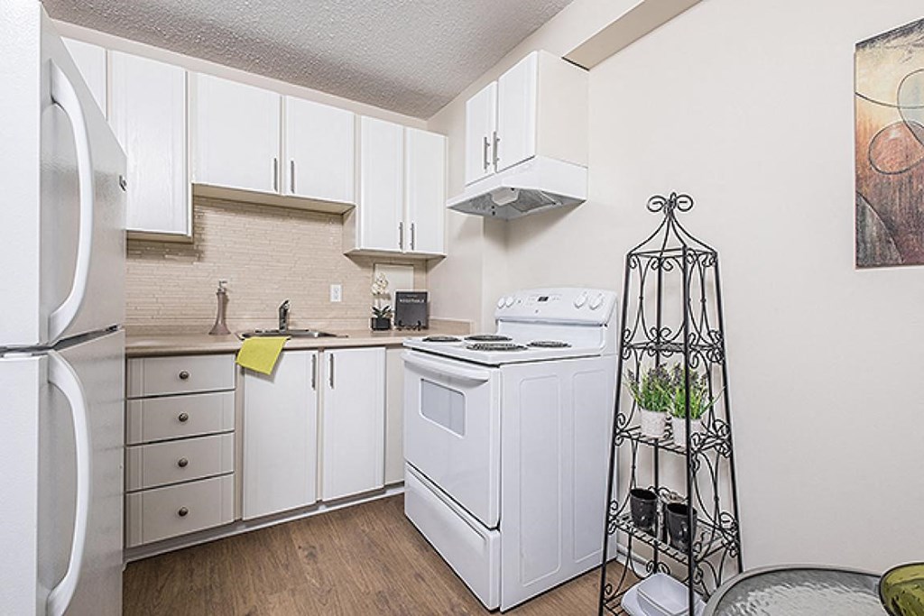 a white kitchen with a stove and a refrigerator