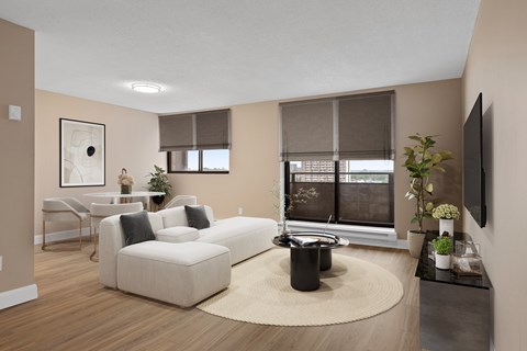 A living room with a white couch, a rug, and a television.