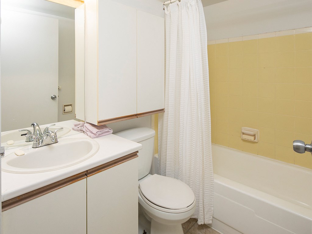 a bathroom with a sink and a toilet and a bath tub