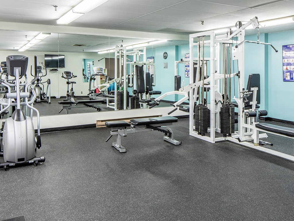 a full view of a gym with weights and cardio equipment
