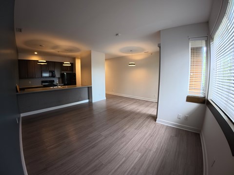 A room with a wooden floor and a window with blinds.