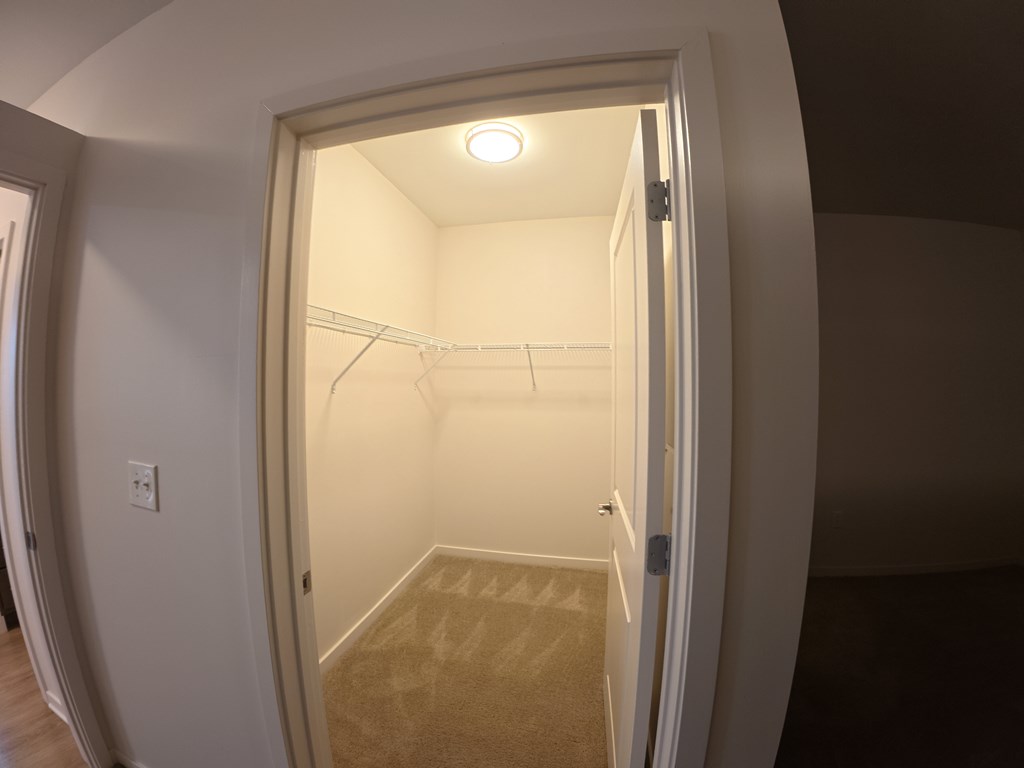 A small, empty room with a carpeted floor and a single light source.