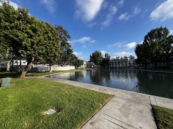 A park with a pond and a walkway.