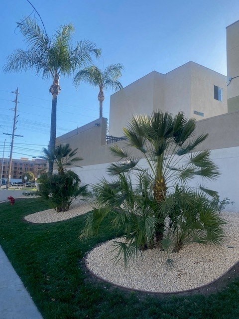 Luna Apts, Palms