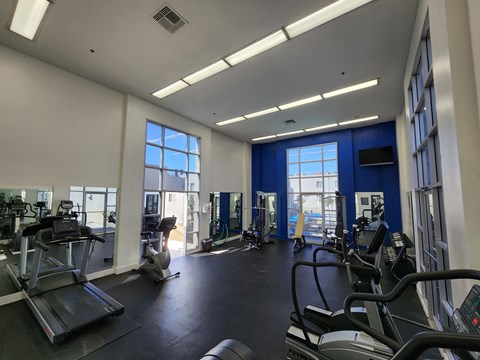 Luna's GYm