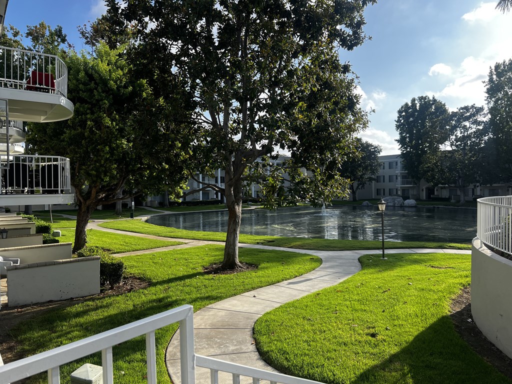 A tree in a grassy area with a white fence in the foreground.